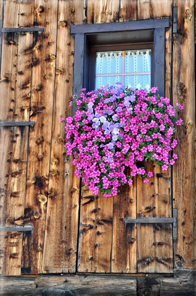 foto Livigno